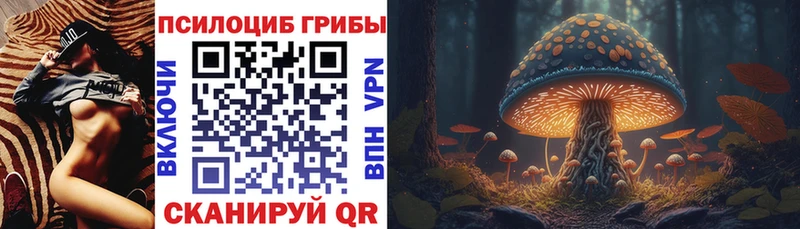 Галлюциногенные грибы мухоморы купить закладку ссылка на мегу как войти Теберда